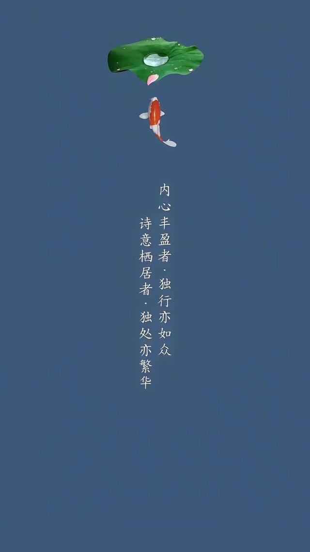 手机壁纸精美图片（50）