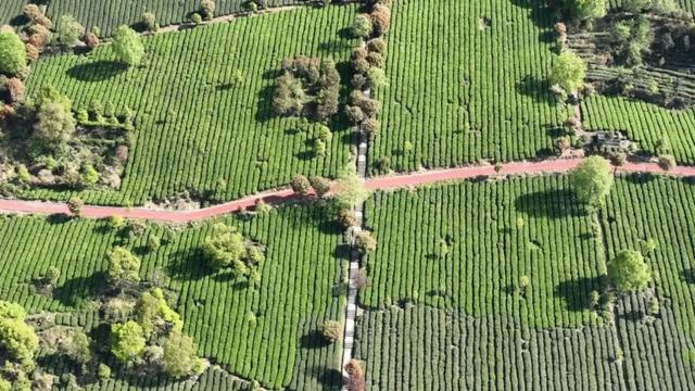 地名里的重庆 | 永川永荣镇，墨韵与茶香交融之地