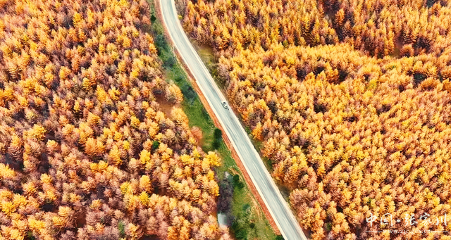 【摄影报道】秋韵未歇：张家川山水的立冬回眸