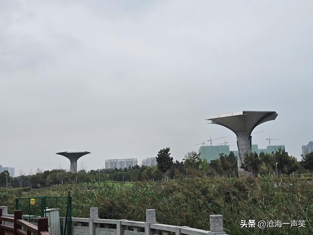 梅湖公园的擎天柱，撑起来天空，撑起来大地，撑起来人间底气！