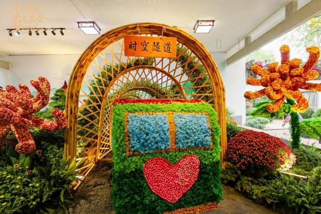 不愧是顶流！一大早就红了，人挤人持续好多天！萧山人家门口也有······