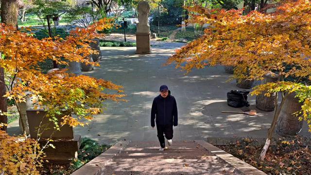 杭州小而美徒步路线：斑斓而沉默的超山，人少景美