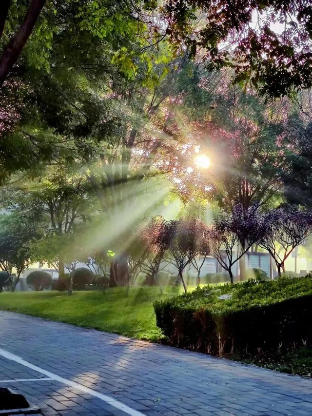 这个季节总要去趟正定，去邂逅那迷人的古建红和金秋黄！