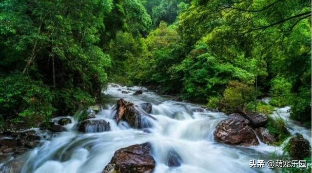荆楚大地晨光初现，鸟鸣花香中烦事随风去，湖北清晨美得让人心醉