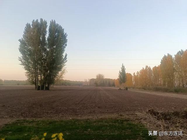 白洋淀笔记：黄昏，走在四门堤里的小堤上