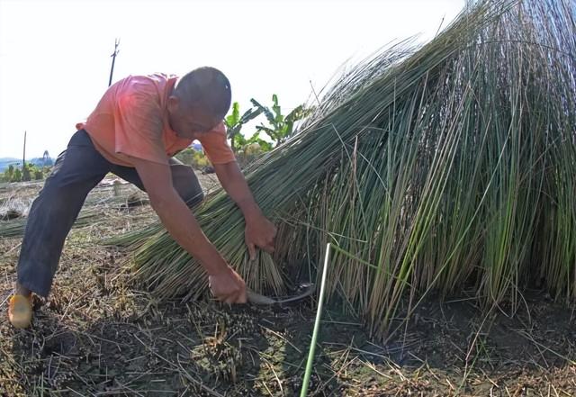 探秘温贯炮楼：深藏于高要乡间的古代军事堡垒