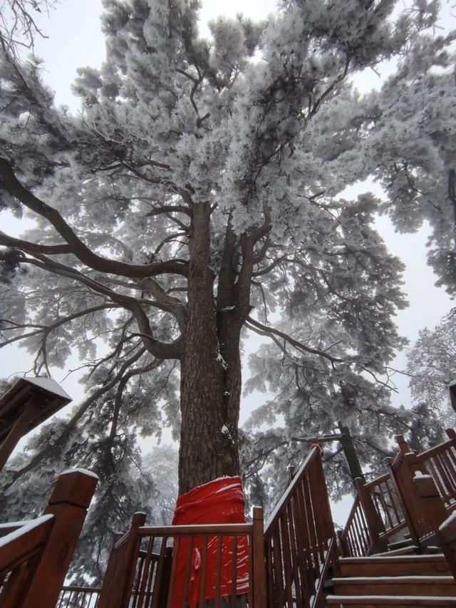 航小天带你看长安 | 雪落终南，千年诗意向云端！