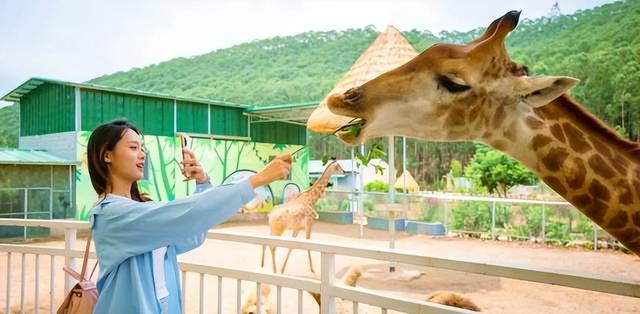 好玩！爱玩！肇庆这10条休闲旅游线路非冲不可