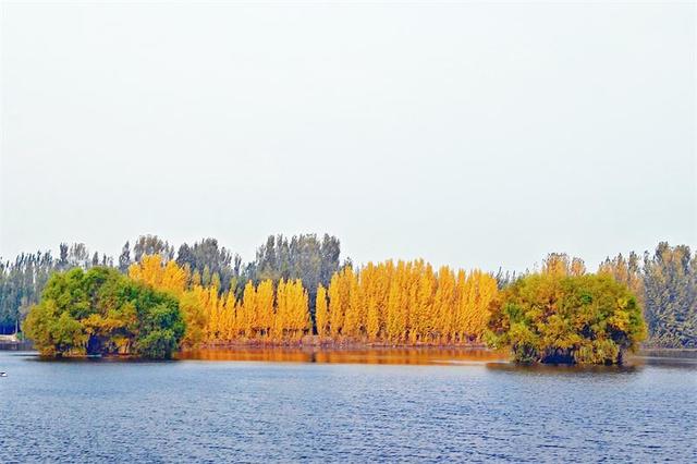 岱岳区夏张镇东城水库：色彩斑斓 秋景如画