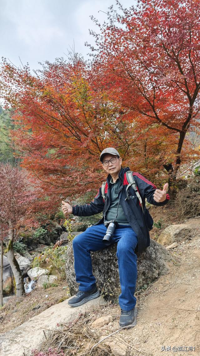 蓝山谷记：与十万株红枫的相遇