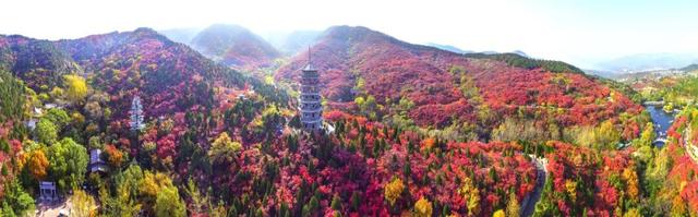 魅力济南‖深秋赴约红叶谷，万山红遍醉金秋