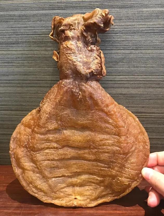 鳕鱼鱼胶好还是黄花鱼鱼胶好 2026年鳕鱼鱼胶和黄花鱼胶哪个好