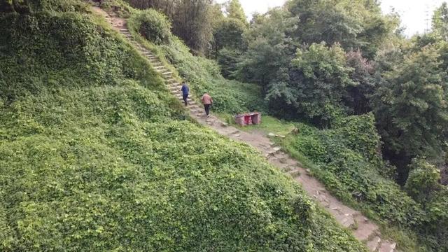 重庆璧山与沙坪坝交界处有一荒废古寺，四周散落残破石像