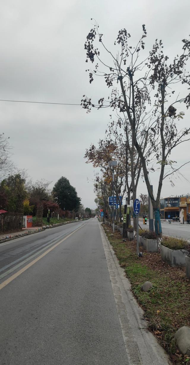 前天感冒今骑行