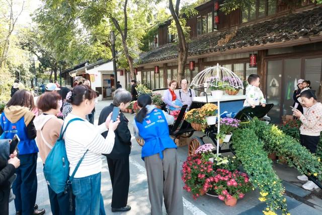 230种“秋韵”上线！拱墅这片花海藏不住了