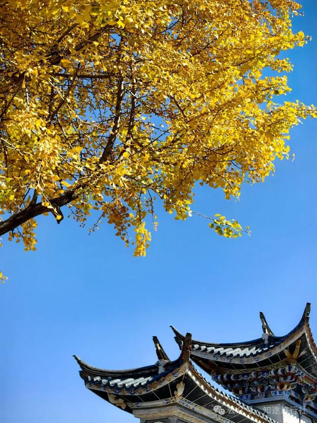 一年中最后一场华丽的秋色，鹤庆泸沽湖休闲5天游！11月底出发