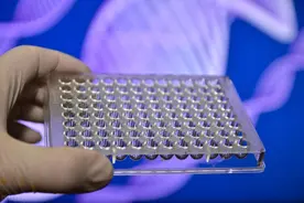 光刻胶再吸水图片