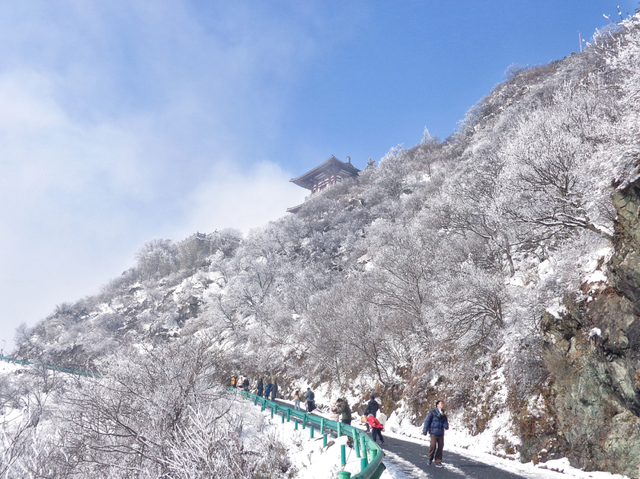 又来？这样的随州，你见没见过？