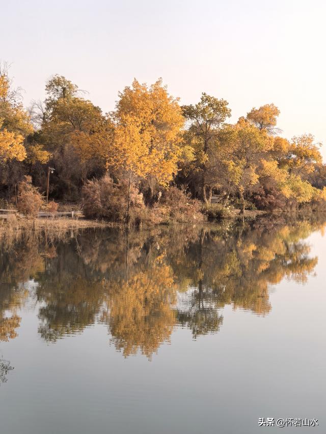 2025环南疆沙漠铁路背包自由行日记(6)---游览巴楚红海胡杨林景区