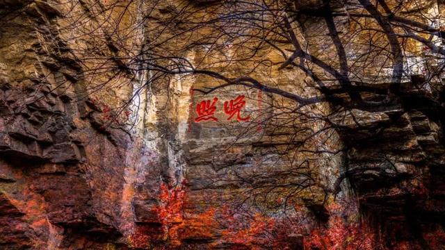 最新实拍！潍坊这里迎来“全红时刻”！