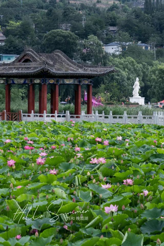 巧盼君至 | 山水画卷 陇南瑰宝：西和晚霞湖 共醉半湖流彩云霞！