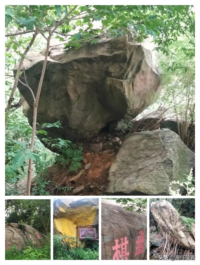 心中有风景，处处有惊喜——游南山森林公园