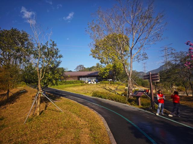 从丽康路穿荔园溪谷至西丽湖绿道骑行随拍