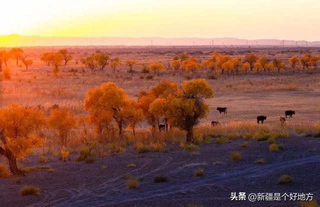 克拉玛依5处小众赏秋地，别只说它「油」了！