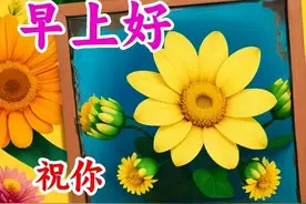 清晨温馨祝福早上好祝福大全，问候在晨祝福来，早安图片