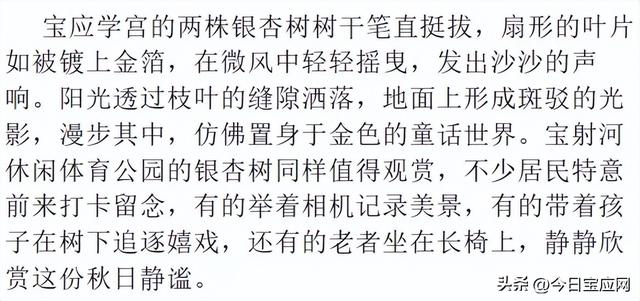 宝应的银杏：一树秋黄、半城诗意