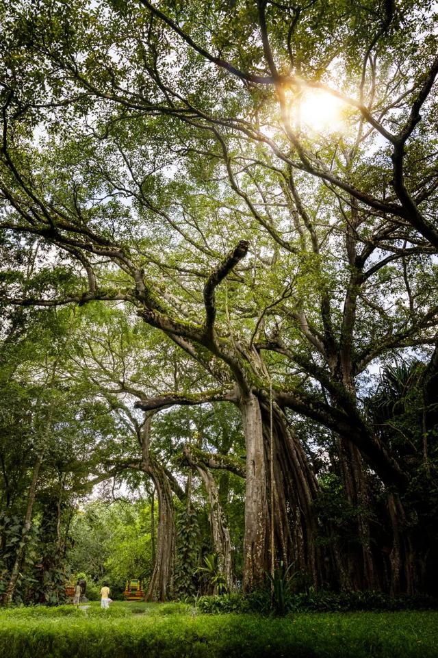 被位置耽误！云南这座21°C春日小城，三面与缅甸接壤，比版纳惬意