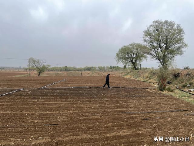 鄂尔多斯市达拉特旗田野考察笔记