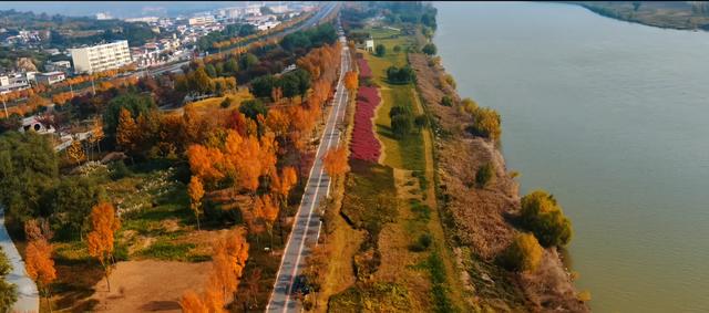 藏不住了!洛河的四重身份