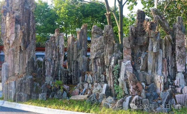 即将开园！绵竹人民公园内部美景提前曝光……