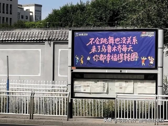 为什么，他们要回到新疆？