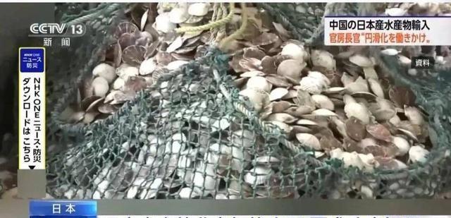 高市还没道歉	，中日又出现新争端，日本通知中国，必须解释一件事