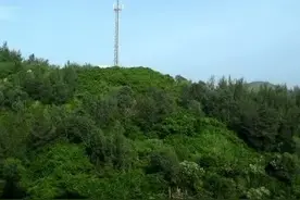 对中移动，中电信的烦恼，停电后即便站屋顶上，手机信号也全无。图片
