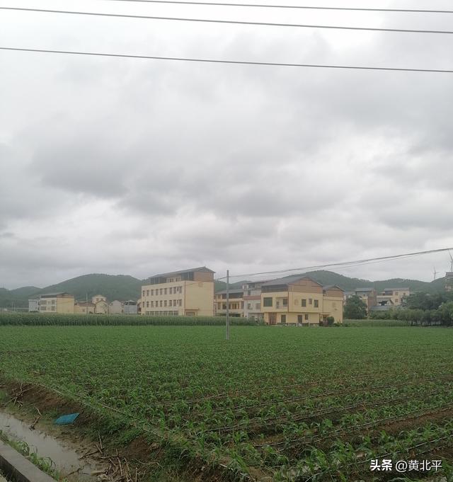 广西南宁市财富最平均的小村，原属永淳县，解放后划给宾阳县