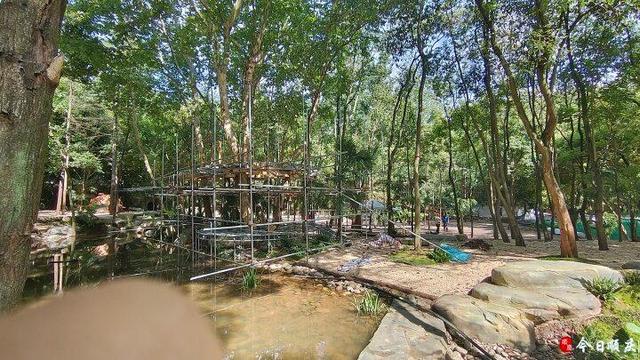 「顺庆」以文塑旅融出新图景 以旅彰文绘就新画卷