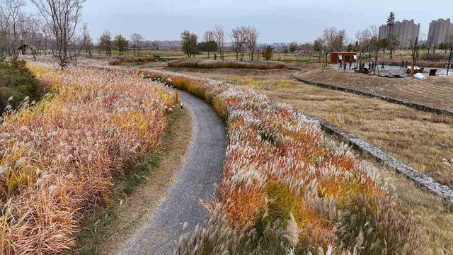邂逅初冬！漫步郑州，在色彩斑斓中行走
