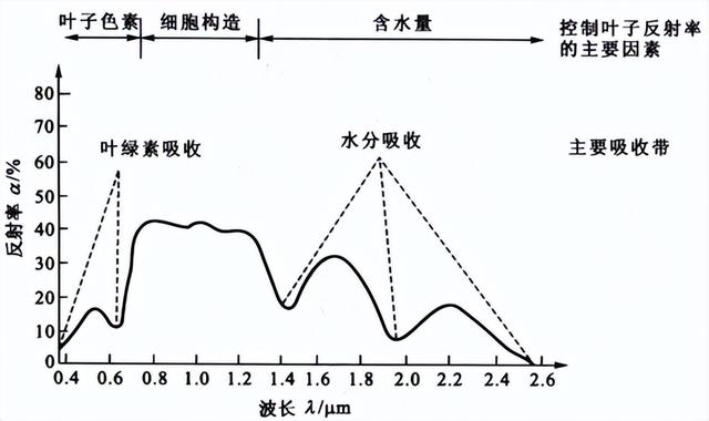 中国技术破局！清华“玉衡”芯片，银河系光谱测绘从千年变十年