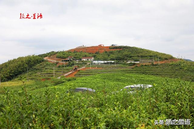 大岗山变迁，红土梯田变身为休闲旅游目的地