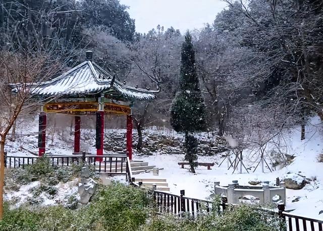 年味十足的山东宝藏小城，不仅是鲁菜重要发源地，还是“中国琉璃之乡”！