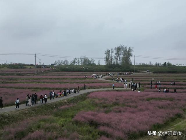 雨停了，天晴了，信阳文旅又人气爆棚了