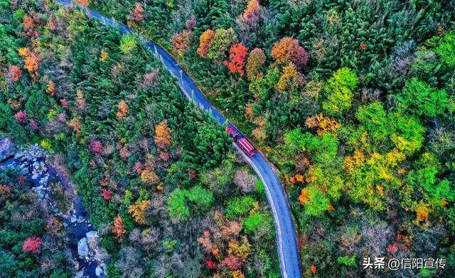 秋色正斑斓！信阳赏秋打卡地推荐