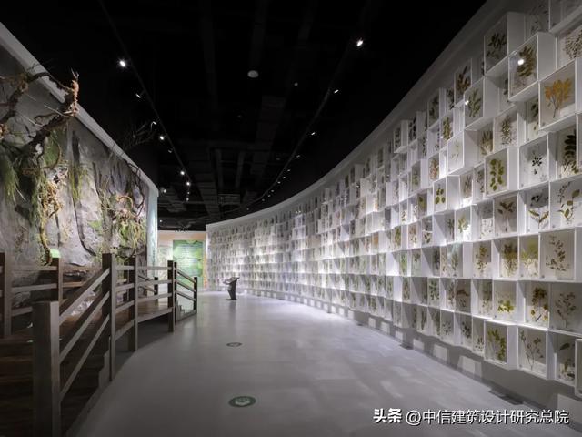 带孩子探秘5万件标本！这座国家级自然教育中心藏不住了