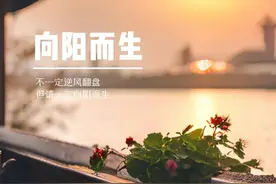 适合销售/业务人员发的朋友圈文案，一天一条，让你生意忙到爆炸图片