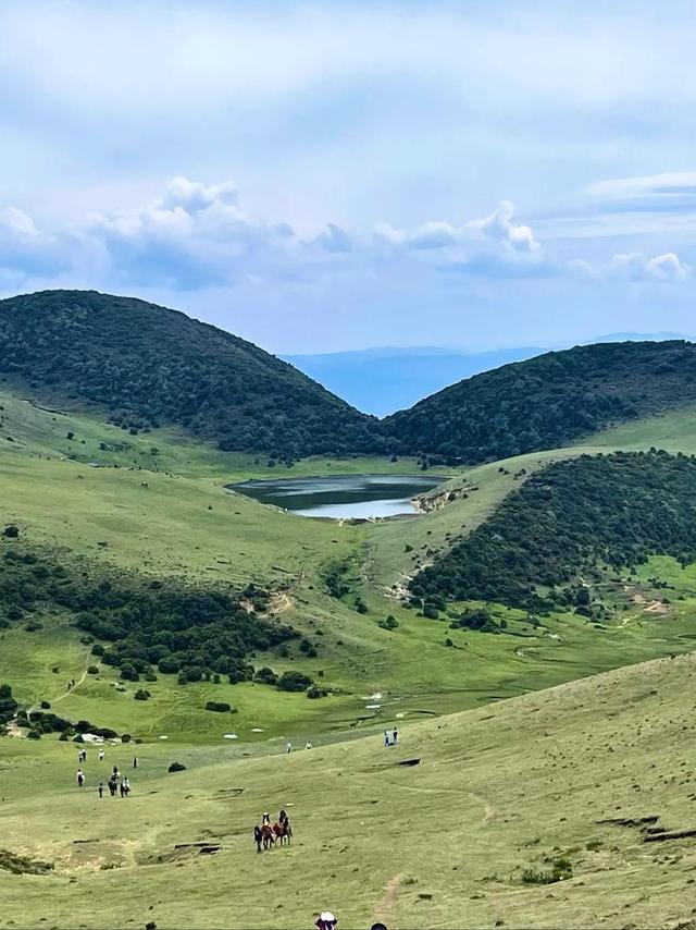 想去洱源鸟吊山徒步官方最新回应来了鸟吊山自然保护区核心区禁入