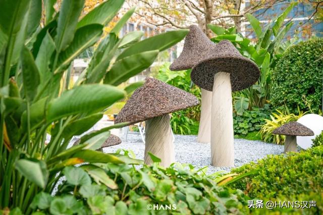 这条街，为光谷正名！