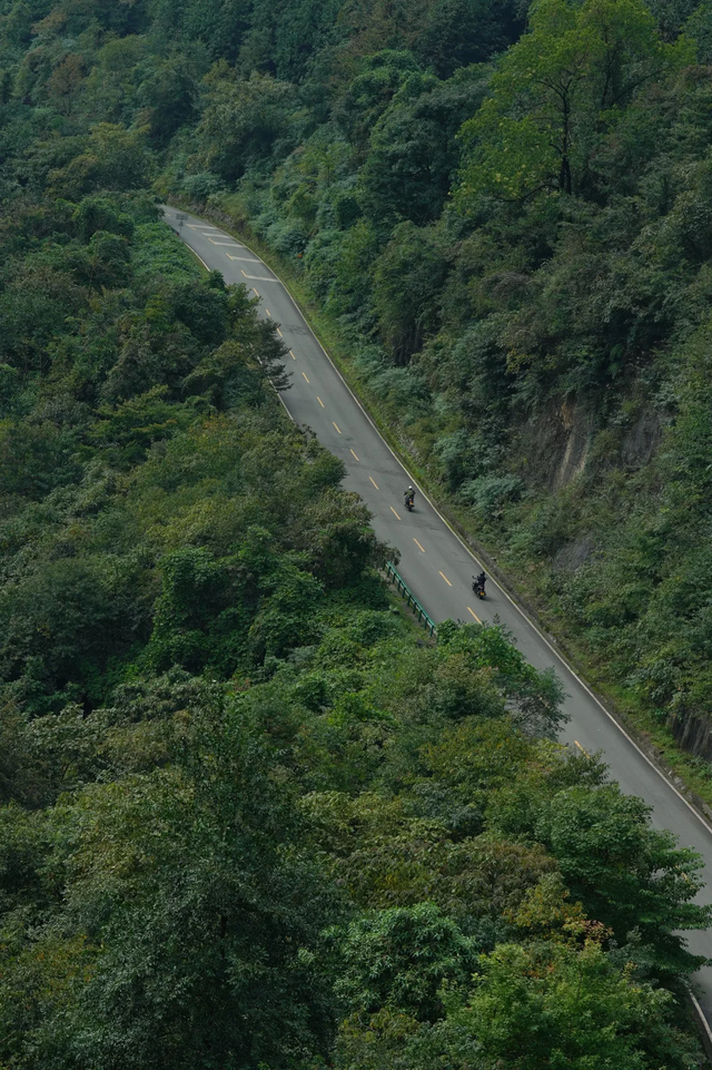 秋日限定！都江堰蒲虹路赏枫，0元小众无路人，快收藏！